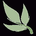 Tea-leaf