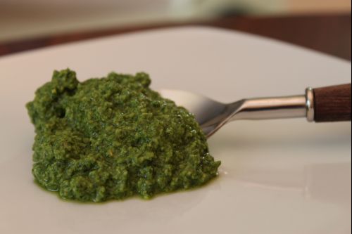 Post image for Garden Fresh Basil Pesto
