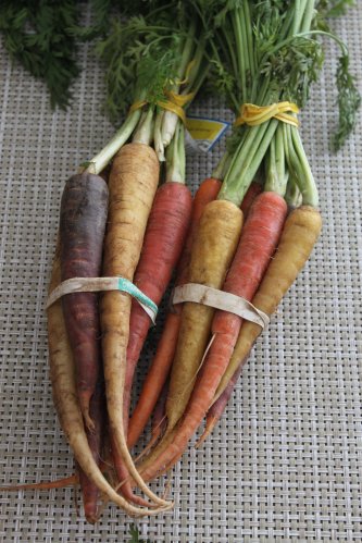 rainbowCarrots