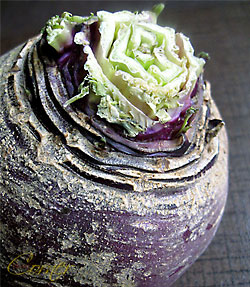 almondcorner_yellowturnip