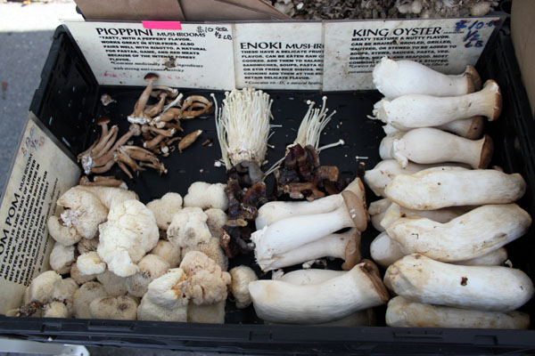 Spices&TeaseNYC