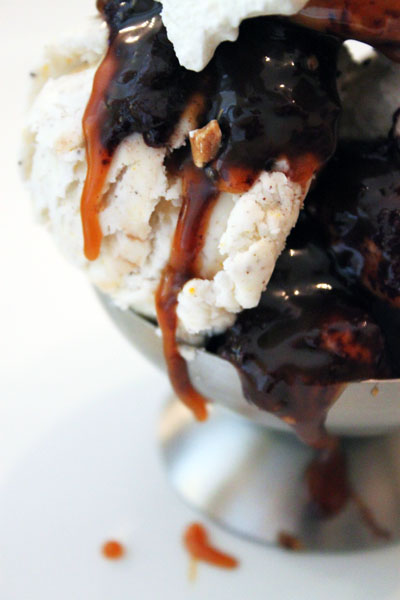 Post image for (Fake) Vanilla Bean Ice Cream and a Giveaway!