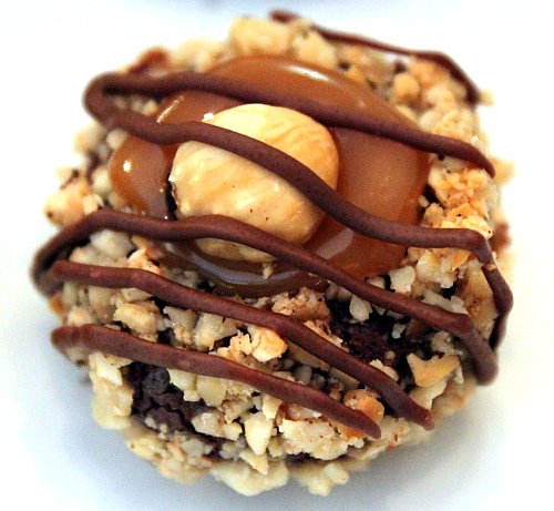 An Empty Hazelnut