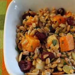 Thumbnail image for Farro with Butternut Squash & Cranberries